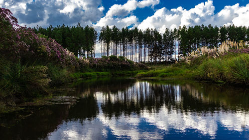 Scenic view of lake against sky