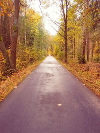 Road amidst trees in forest during autumn