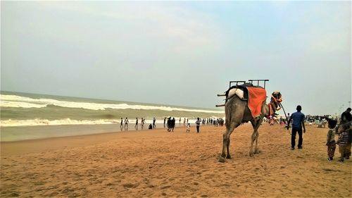 People on beach against sky