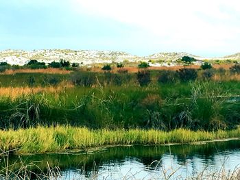 Scenic view of lake against sky