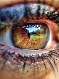 Extreme close up of human eye