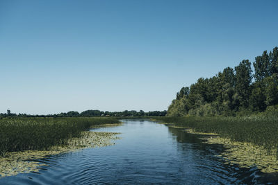 Scenic view of lake against clear blue sky