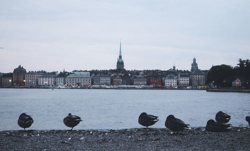 View of buildings and river in city