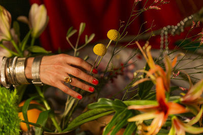 Close-up of hand holding red flowering plants