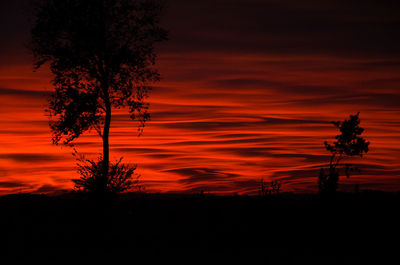 Silhouette tree against orange sky