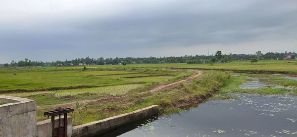 Scenic view of agricultural field against sky