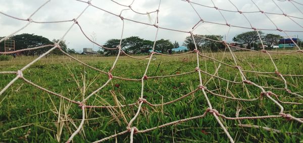 Scenic view of grassy field against sky