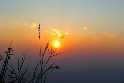 Silhouette landscape against orange sky