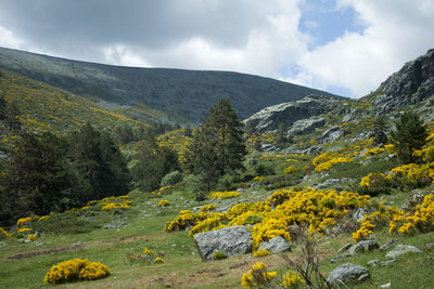 Scenic view of landscape and mountains against sky