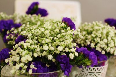 Close-up of purple flowers