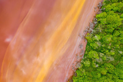 Aerial view of copper waste in lake by trees