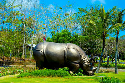 Side view of horse on field