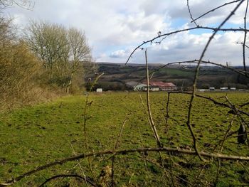 Scenic view of field against sky