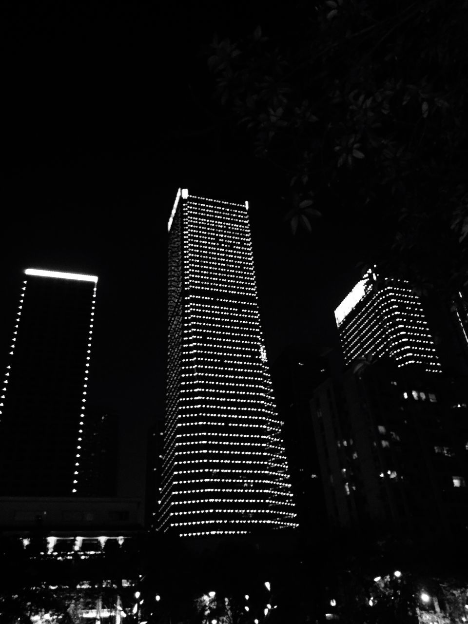 building exterior, architecture, built structure, night, low angle view, skyscraper, city, tower, illuminated, tall - high, modern, building, office building, outdoors, no people, tree, sky, window, clear sky, residential building