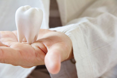 Close-up of baby holding hand