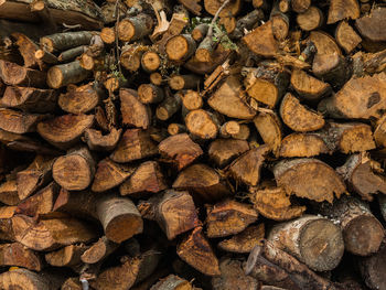 Full frame shot of logs