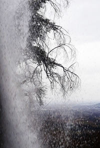 Bare tree against sky during rainy season
