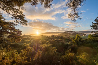 Scenic view of sunset