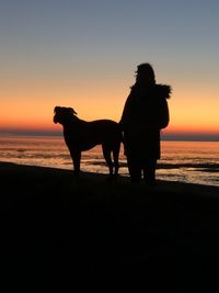 Silhouette dog on beach against sky during sunset