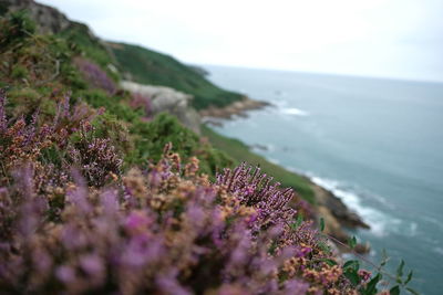 Scenic view of sea during dusk