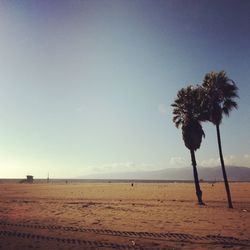 Scenic view of beach against clear sky
