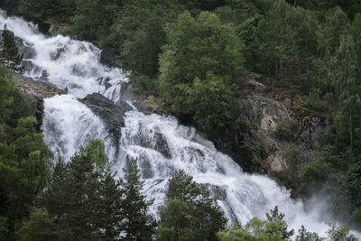 Scenic view of waterfall in forest