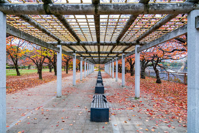 Empty footpath amidst trees in park during autumn