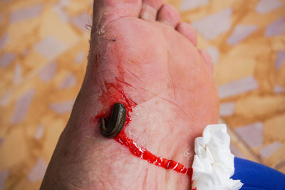 Close-up of human hand