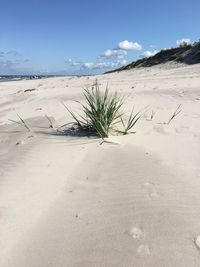 Scenic view of beach against sky