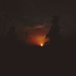 Silhouette trees against sky at sunset