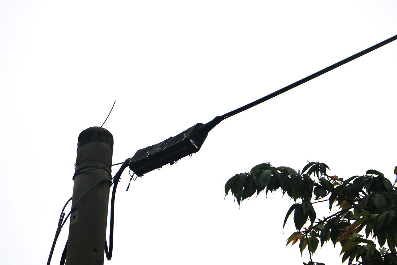 LOW ANGLE VIEW OF SILHOUETTE TREES AGAINST SKY