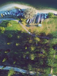 High angle view of trees by lake in city