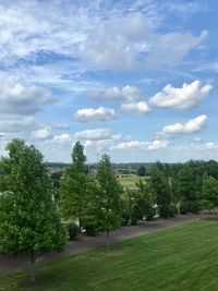 Trees on field against sky