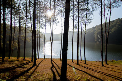 Scenic view of lake by trees against sky