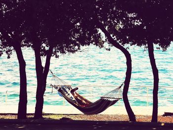 Trees on beach by sea