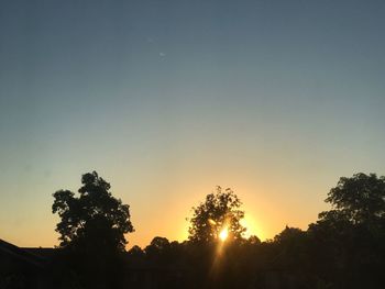 Low angle view of silhouette trees against clear sky