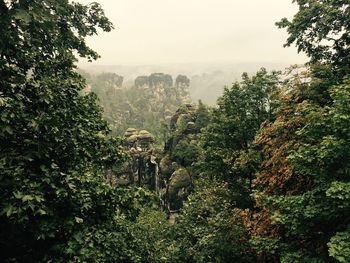 Trees growing by bastei against sky