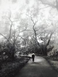 Rear view of a woman walking on road