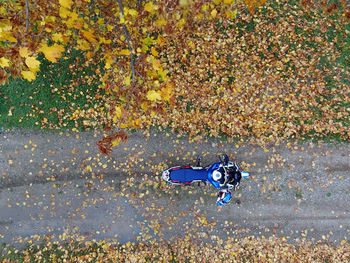 High angle view of wet leaves during rainy season