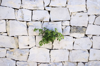 Full frame shot of stone wall