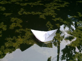 High angle view of paper floating on water