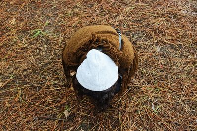 High angle view of hat on field