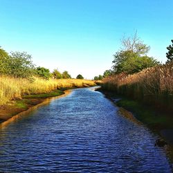 Scenic view of calm river against blue sky