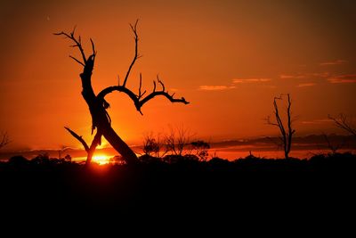 Silhouette bare tree on field against romantic sky at sunset