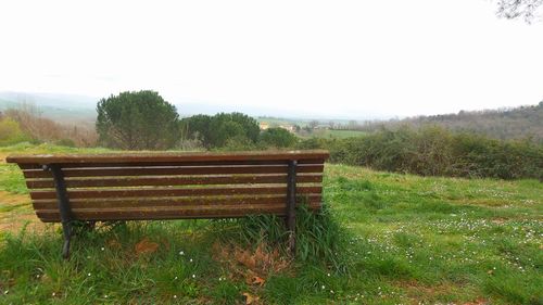 Empty bench on grassy field