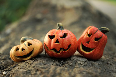 Jack o lanterns on fallen tree