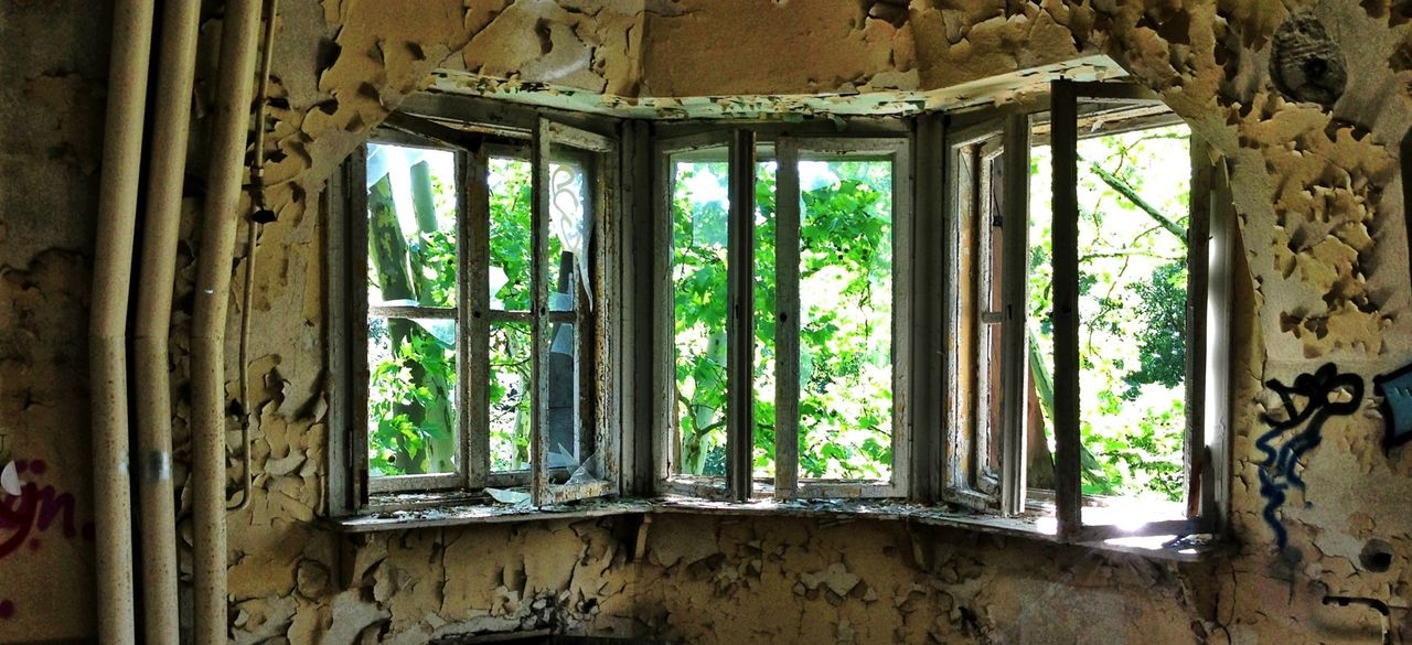 indoors, architecture, built structure, window, abandoned, old, damaged, run-down, obsolete, deterioration, old ruin, ruined, wall - building feature, history, weathered, tree, house, day, no people, wall