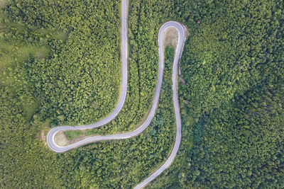 High angle view of plant growing on farm