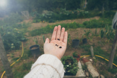 Cropped hand of woman holding soil at backyard