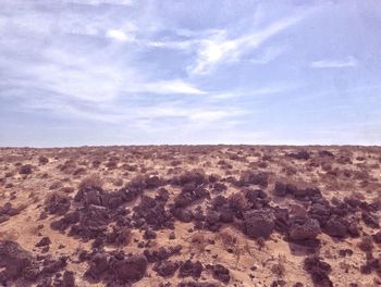 Scenic view of desert against sky